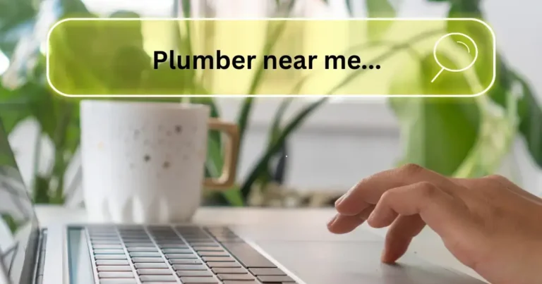 How Important SEO is for a New Zealand Business